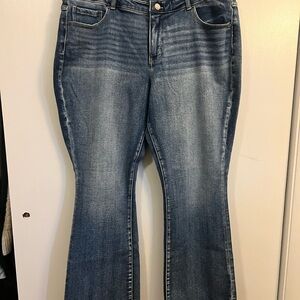 BKE Flare Jeans in Classic Blue